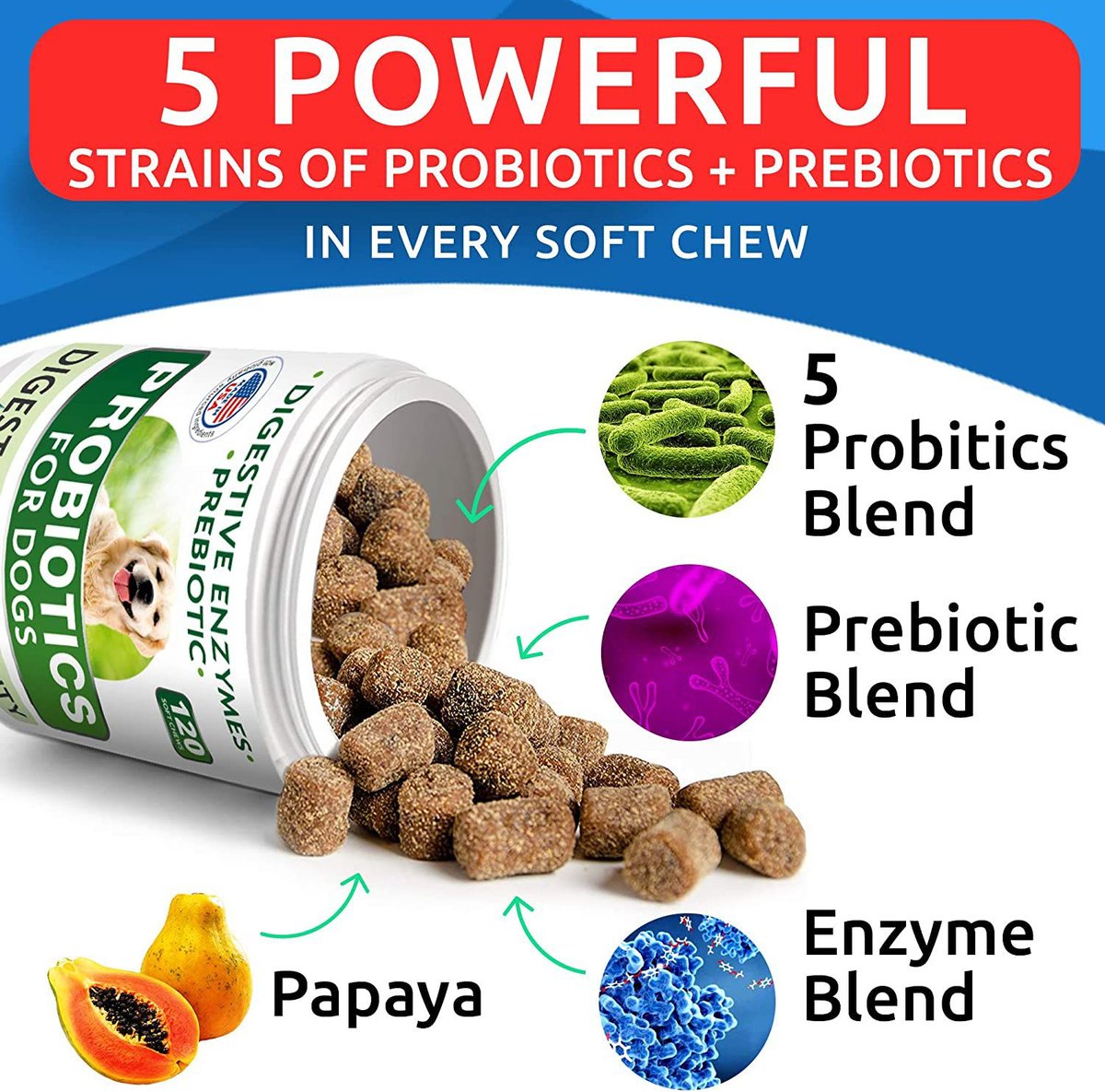 Keeping Dogs Regular With Prebiotics Reference: Bark Spark Dog Probiotics For Dogs With Digestive Enzymes Prebiotics