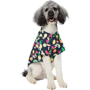 Frisco Fruit Punch Camp Dog & Cat Shirt, Black, XX-Large