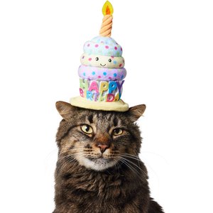 Frisco Happy Birthday Cupcake Dog & Cat Hat, X-Small/Small