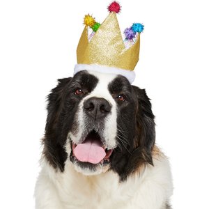 Frisco Birthday Glitter Crown Dog & Cat Hat, Medium/Large