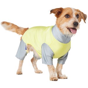 Frisco UPF 30+ Colorblock Dog & Cat Playsuit, Green, Large