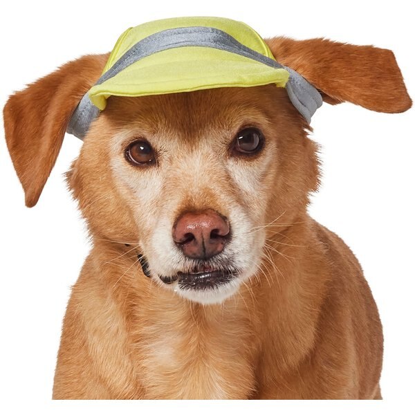 Frisco UPF 50+ Colorblock Dog & Cat Cap