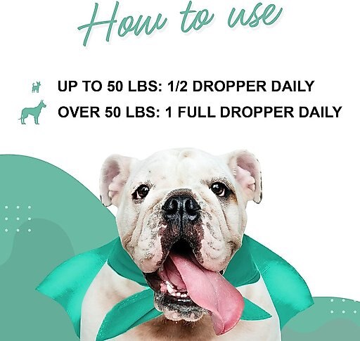 Wonder Paws Hemp Oil with Wild Salmon Oil Calming Supplement for Dogs, 2-oz bottle