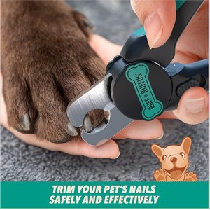 Ruff 'N Ruffus 3-Piece Essential Grooming Kit for Dogs & Cats, Aqua
