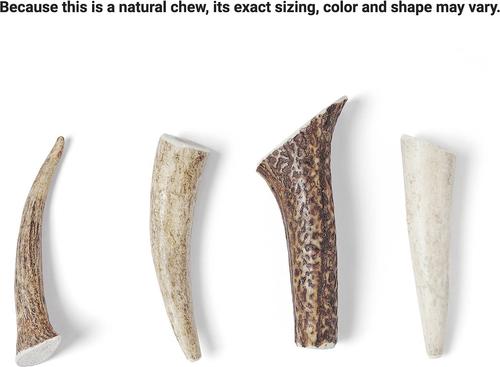 Show full view: Bones & Chews Made in USA Elk Antler Dog Chew, 4 - 5 in, Small slide 4 of 10