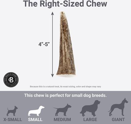 Show full view: Bones & Chews Made in USA Elk Antler Dog Chew, 4 - 5 in, Small slide 6 of 10