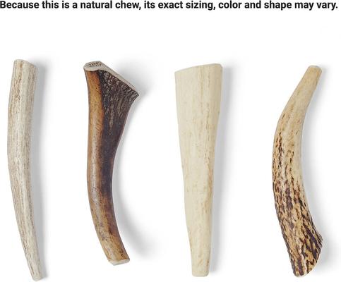 Show full view: Bones & Chews Made in USA Elk Antler Dog Chew, 5 - 6.5 in, Medium slide 4 of 10