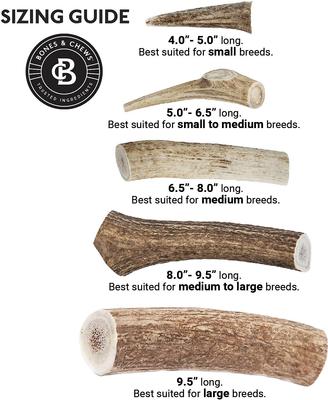 Show full view: Bones & Chews Made in USA Elk Antler Dog Chew, 5 - 6.5 in, Medium slide 5 of 10