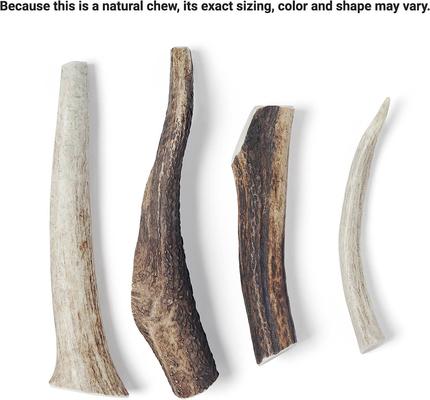 Show full view: Bones & Chews Made in USA Elk Antler Dog Chew, 6.5 - 8 in, Large slide 4 of 10