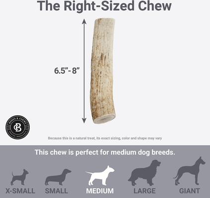 Show full view: Bones & Chews Made in USA Elk Antler Dog Chew, 6.5 - 8 in, Large slide 6 of 10