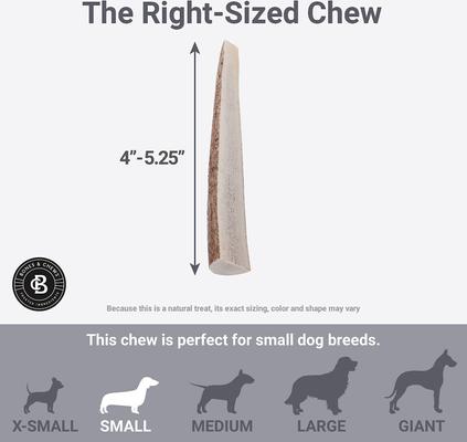 Show full view: Bones & Chews Made in USA Elk Antler Split Dog Chew, 4 - 5.5-in, Small slide 6 of 10