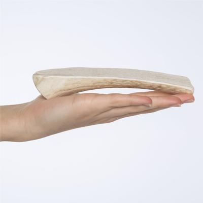 Show full view: Bones & Chews Made in USA Elk Antler Split Dog Chew, 5.5 - 7-in, Medium slide 3 of 10