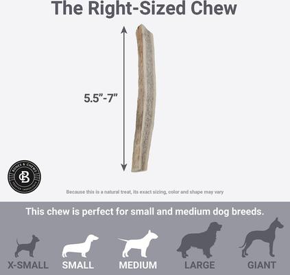 Show full view: Bones & Chews Made in USA Elk Antler Split Dog Chew, 5.5 - 7-in, Medium slide 6 of 10