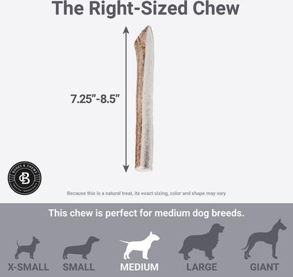 Show full view: Bones & Chews Made in USA Elk Antler Split Dog Chew, 7.25 - 8.5-in, Large slide 6 of 10