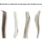 Show in main carousel: Bones & Chews Made in USA Elk Antler Split Dog Chew, 8.5+ in, X-Large slide 4 of 10