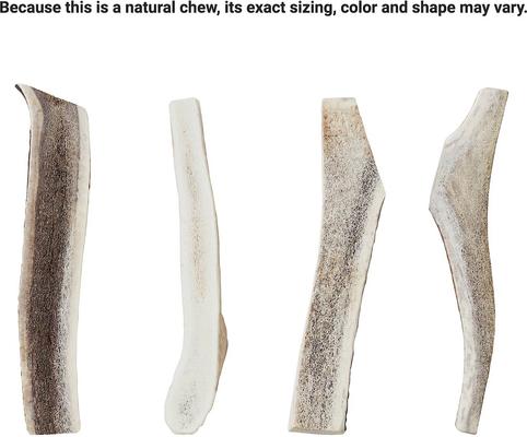 Show full view: Bones & Chews Made in USA Elk Antler Split Dog Chew, 8.5+ in, X-Large slide 4 of 10