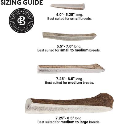 Show full view: Bones & Chews Made in USA Elk Antler Split Dog Chew, 8.5+ in, X-Large slide 5 of 10