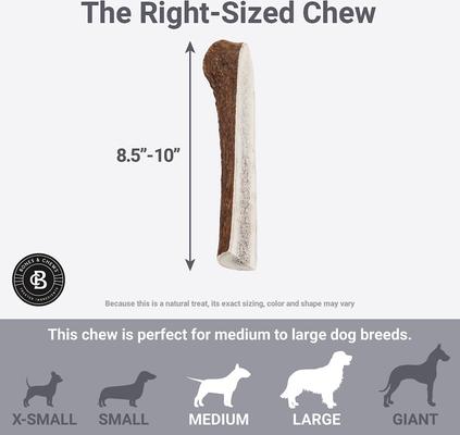 Show full view: Bones & Chews Made in USA Elk Antler Split Dog Chew, 8.5+ in, X-Large slide 6 of 10