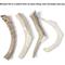 Show in main carousel: Bones & Chews Made in USA Deer Antler Dog Chew, 8.5+ in, X-Large slide 4 of 10