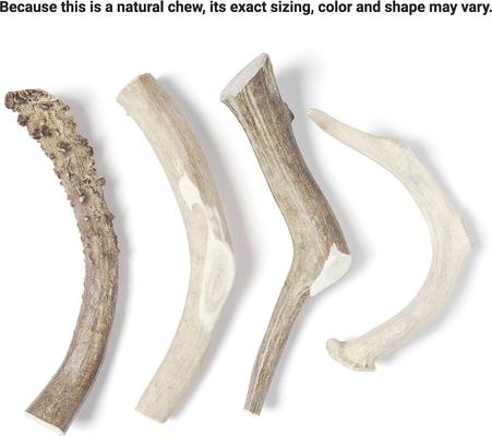 Show full view: Bones & Chews Made in USA Deer Antler Dog Chew, 8.5+ in, X-Large slide 4 of 10