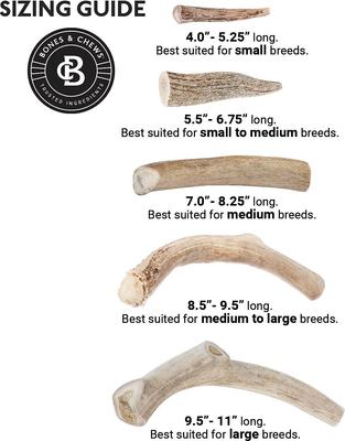 Show full view: Bones & Chews Made in USA Deer Antler Dog Chew, 8.5+ in, X-Large slide 5 of 10
