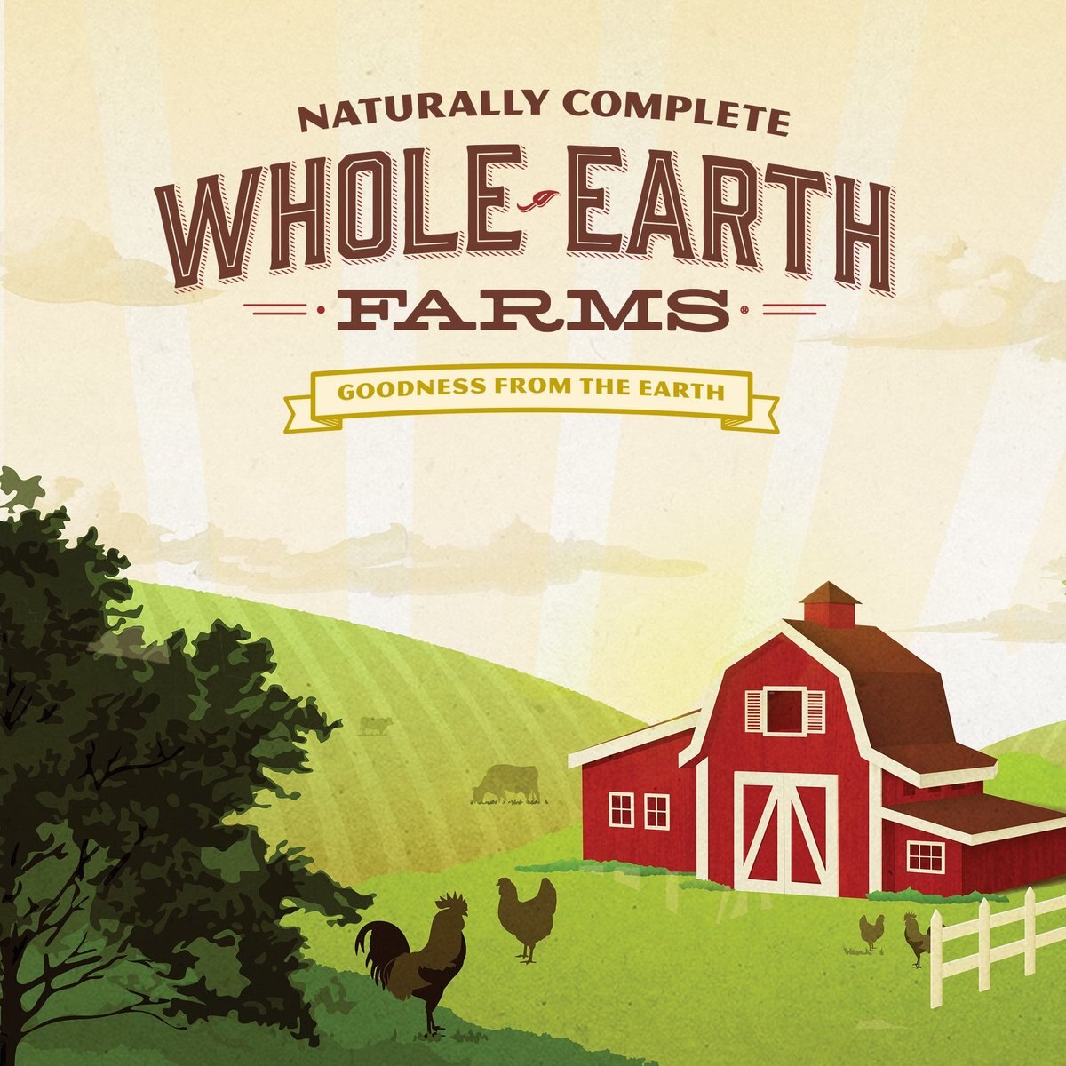 WHOLE EARTH FARMS GrainFree Healthy Kitten Recipe Dry Cat Food, 5lb
