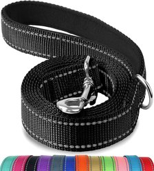 SunGrow Ferret Leash, 6-ft