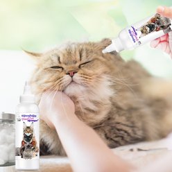 The Blissful Dog Simply Clean Cat Ear Cleaner, 4-oz bottle slide 2 of 8