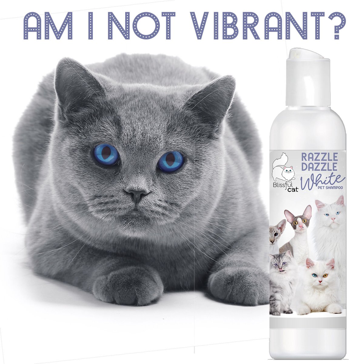 THE BLISSFUL DOG Razzle Dazzle White Cat Shampoo, 4oz bottle