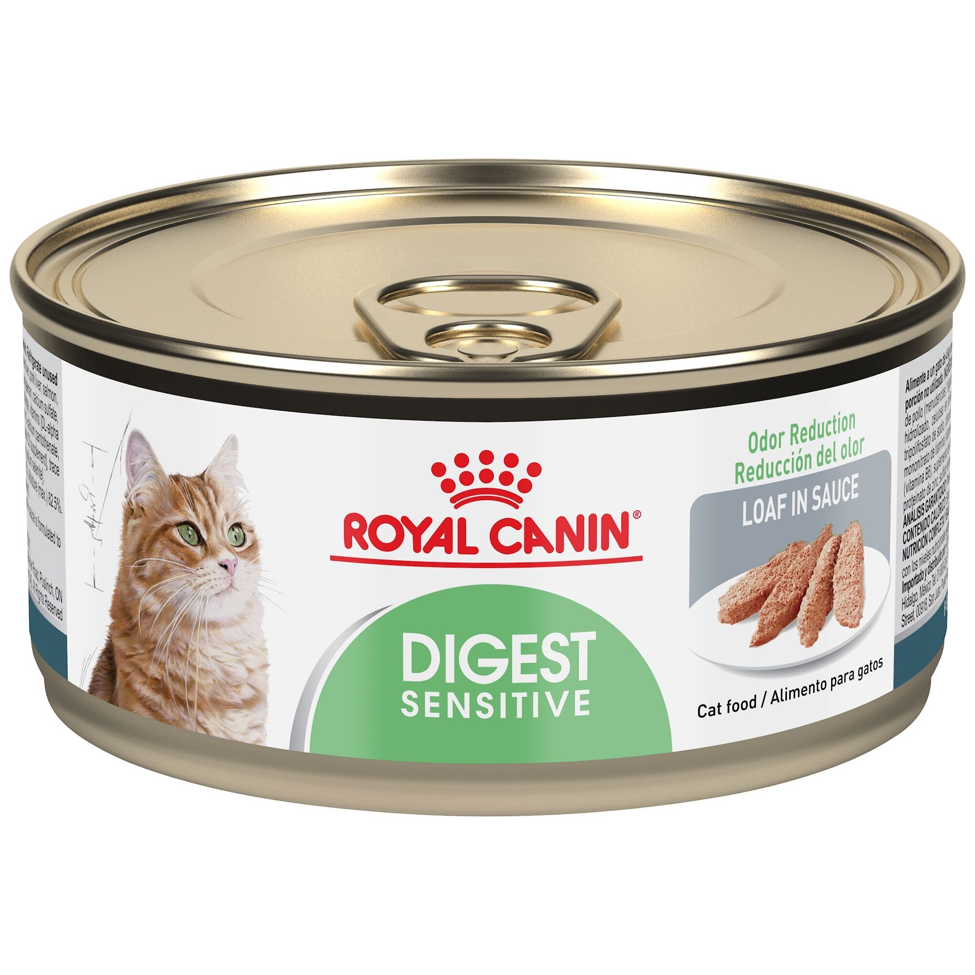 ROYAL CANIN Feline Care Nutrition Digestive Care Loaf in Sauce