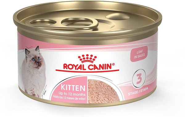 ROYAL CANIN Health Nutrition Kitten Loaf Sauce Canned Cat Food, 3-oz, case of 24 Chewy.com