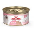 Royal Canin Feline Health Nutrition Kitten Loaf in Sauce Canned Cat Food, 3-oz, case of 24