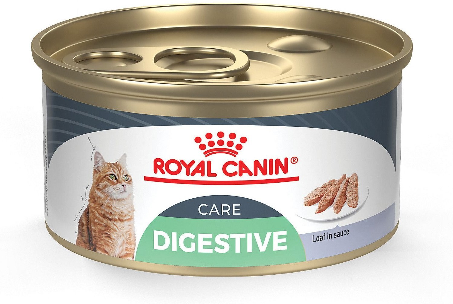 royal canin venison wet cat food