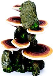 Penn-Plax Deco-Replicas Tree Trunk with Shelf Mushrooms Aquarium Decoration Fish Ornament, Medium