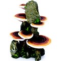 Penn-Plax Deco-Replicas Tree Trunk with Shelf Mushrooms Aquarium Decoration Fish Ornament, Medium
