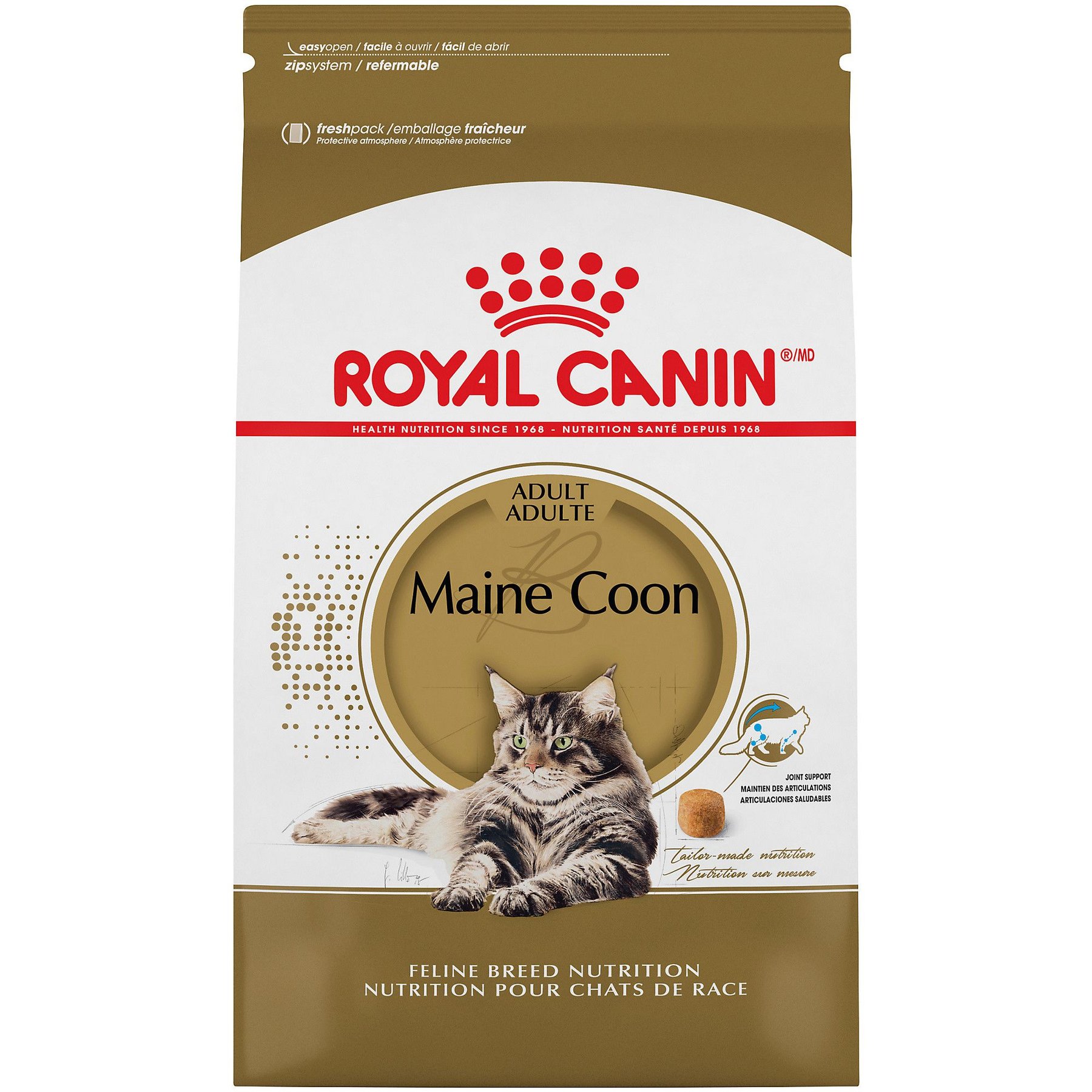 ROYAL CANIN Feline Breed Nutrition Maine Coon Adult Dry Cat