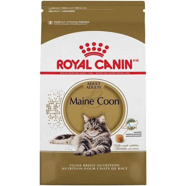 Royal Canin Maine Coon Adult Dry Cat Food