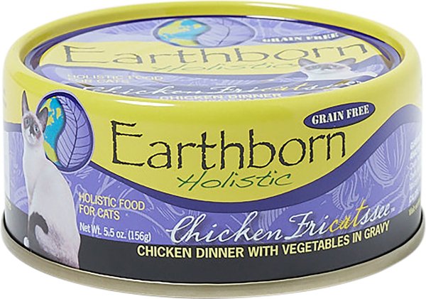 Earthborn holistic 2024 wet cat food