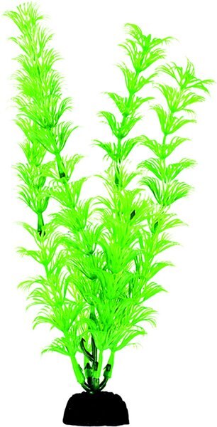 Penn-Plax 8-in Plastic Fish Plant, Green, 6 count