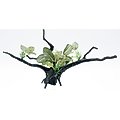 Penn-Plax Aqua-Plant Driftwood Fish Plant, Green
