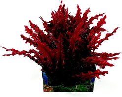 Penn-Plax Aqua-Scaping Red Bunch Fish Plant, Large, Red, 5 count