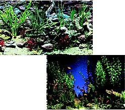 Penn-Plax Double-Sided Aquarium Fish Background, Aquarama/Shalescape