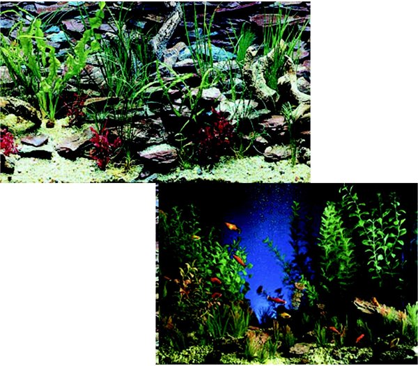 Fish Tank Background Double Sided