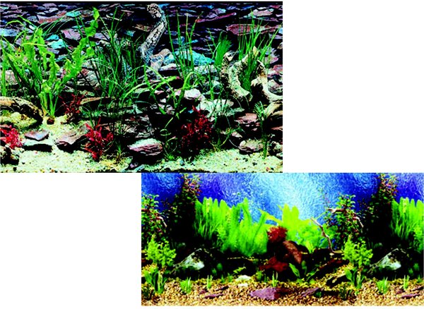 PENN-PLAX Double-Sided Aquarium Fish Background, Tropical Blue/Shalescape 