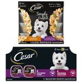 Cesar Classic Loaf in Sauce Filet Mignon & Porterhouse Steak Flavors Variety Pack Wet Food + Simply Crafted Variety Pack Wet Dog Food Meal Topper
