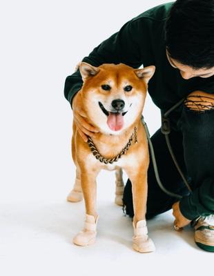 Show full view: RIFRUF Caesar 1 Dog Boot, Bone, 4 slide 6 of 11