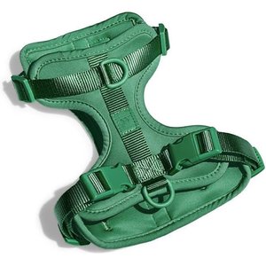 Wild One Adjustable Cushioned Dog Harness, Spruce, Small