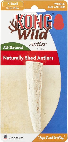 KONG Wild Whole Elk Antler Dog Chew, X-Small slide 1 of 8