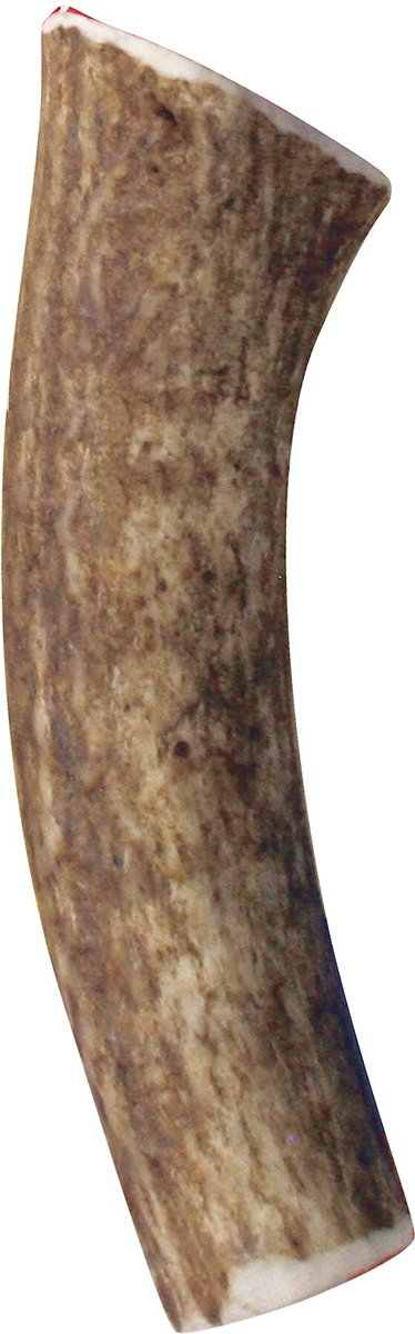 Kong wild outlet antler whole