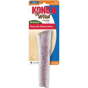 Kong wild antler large hotsell